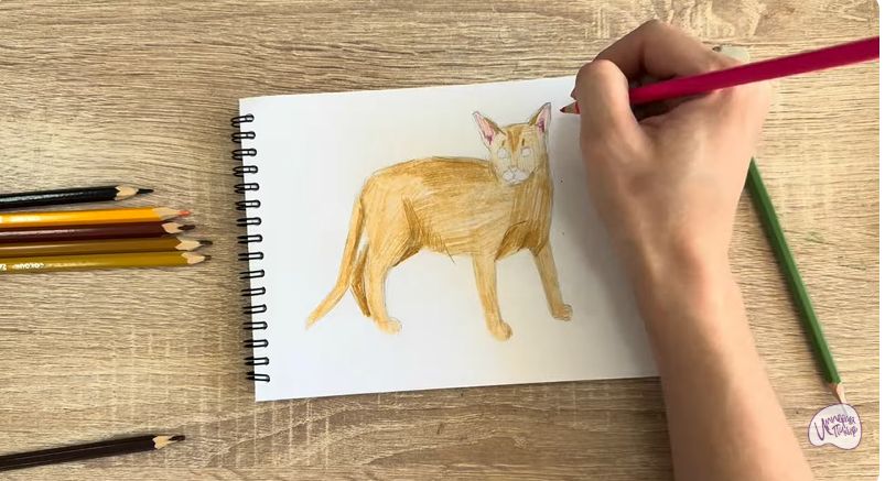 Рисуем Кот породы Оцикет