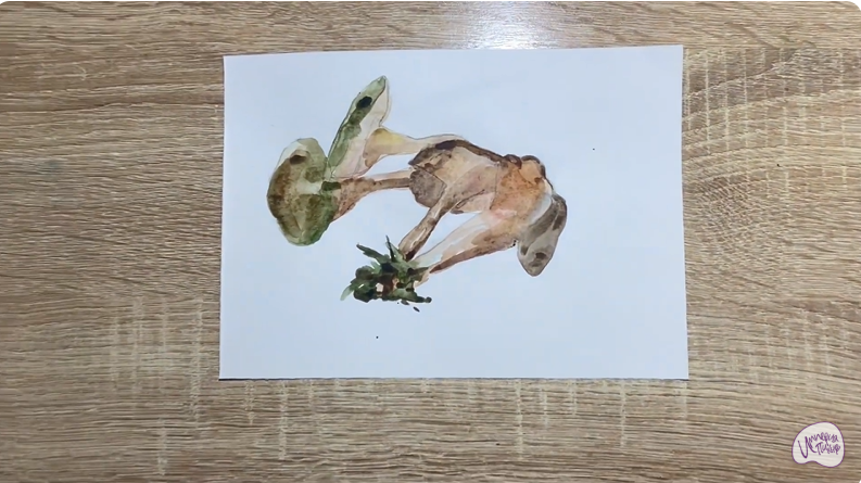 Рисуем Аскокорине торфяная