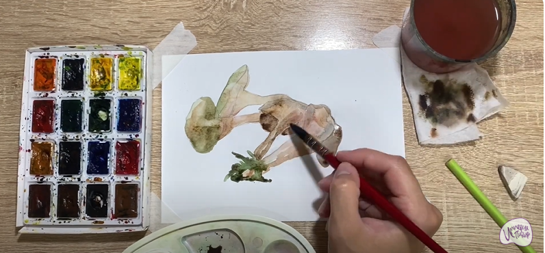Рисуем Аскокорине торфяная