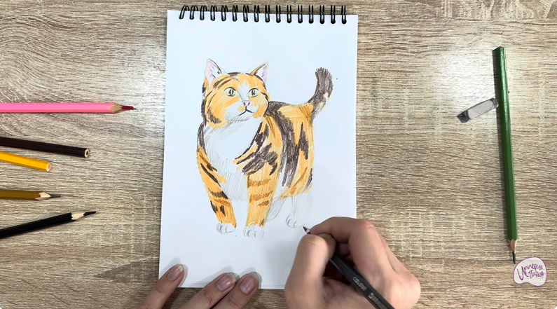 Рисуем Кошка породы "Манчкин"