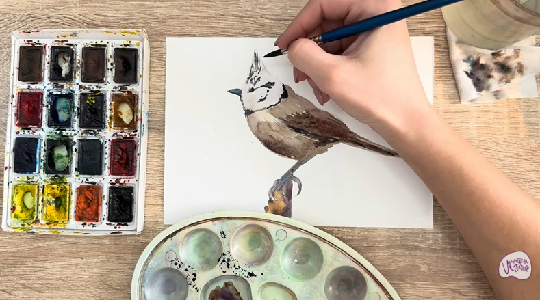 Рисуем Хохлатая синица