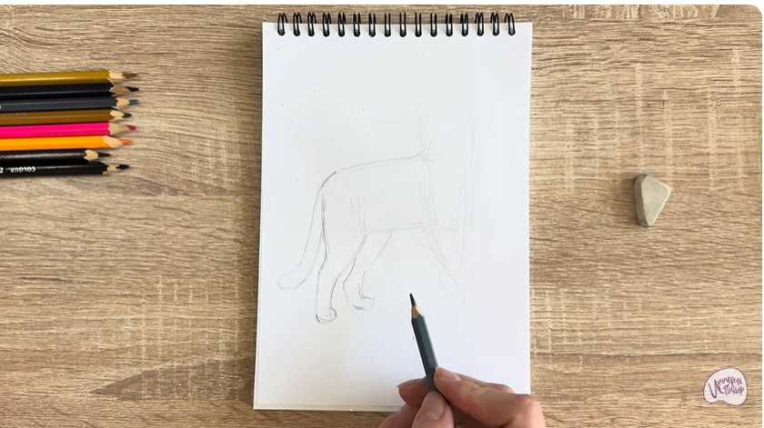 Рисуем Кошка Бурмилла