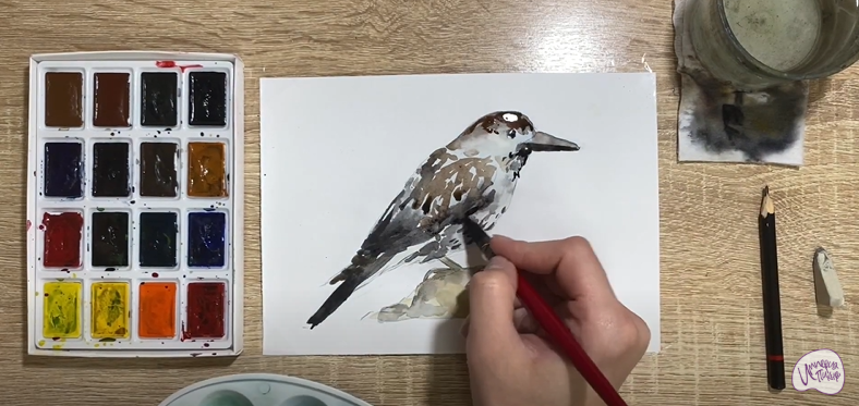 Рисуем Кедровка