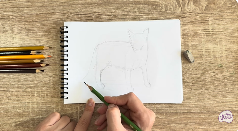 Рисуем Кот породы Оцикет