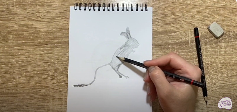 Рисуем Тушканчик
