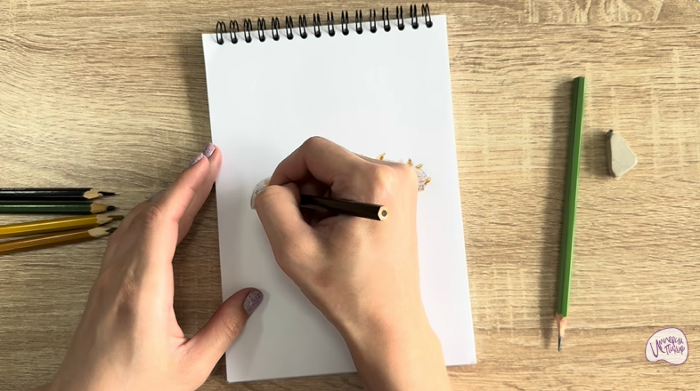 Рисуем Голотурия