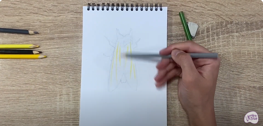Рисуем Хохлатка