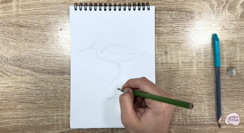 Рисуем Шилоклювка