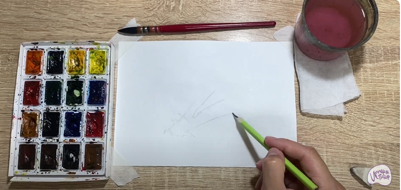 Рисуем Аскокорине торфяная