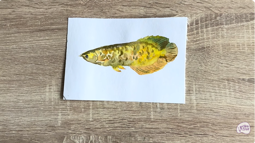 Рисуем Аравана