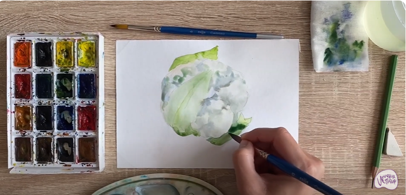 Рисуем Цветная капуста