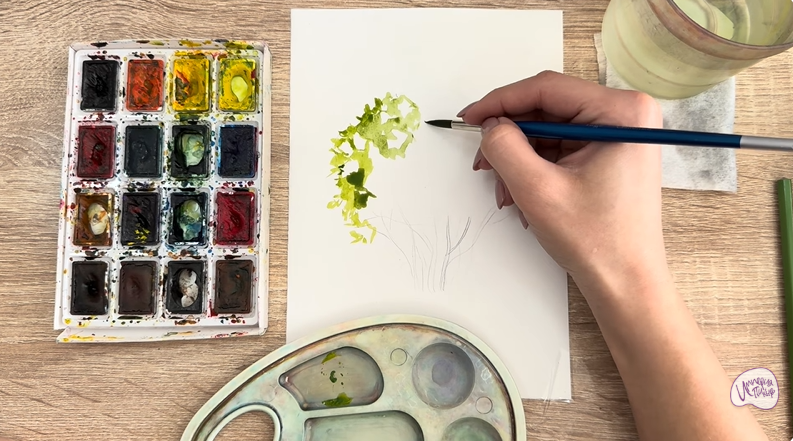 Рисуем Саженец бирючины