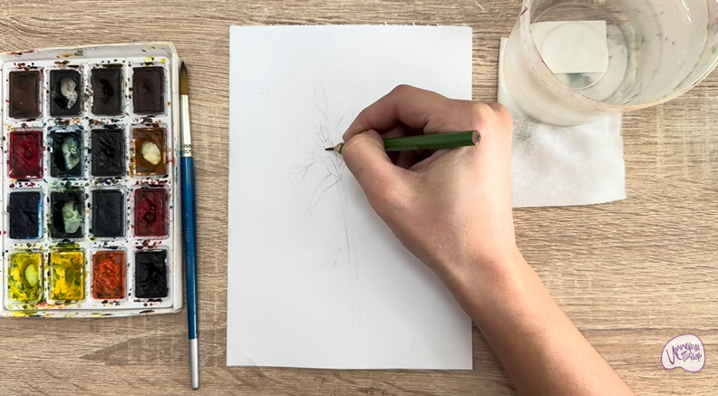 Рисуем Ясколка длинноволосая