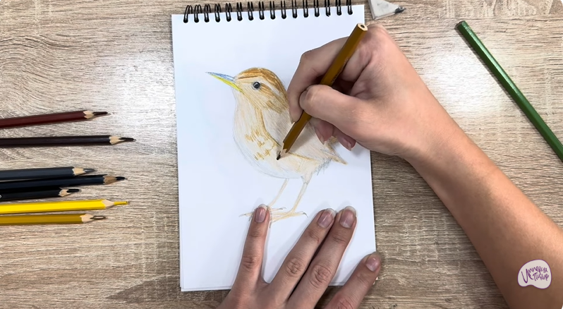 Рисуем Крапивник