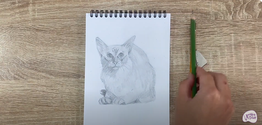 Рисуем Балинезийская кошка