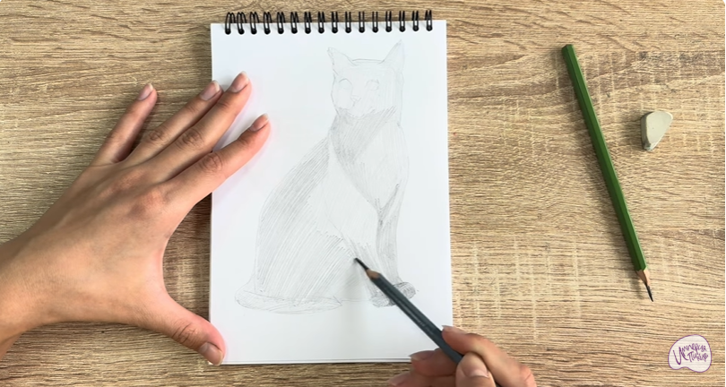 Рисуем Бурманский кот