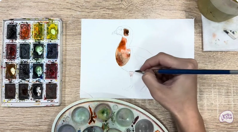 Рисуем Краснозобая казарка