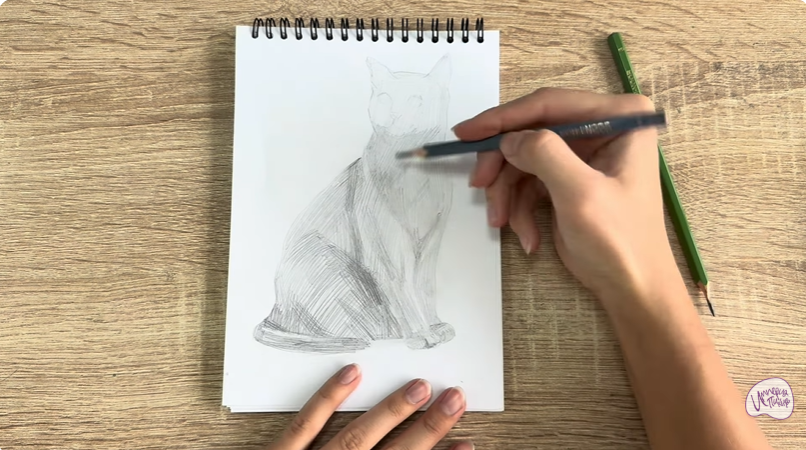 Рисуем Бурманский кот