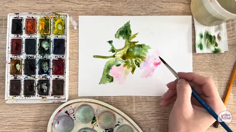 Рисуем Алтей лекарственный