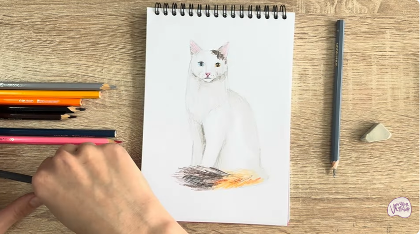 Рисуем Кот породы "Турецкий ван"