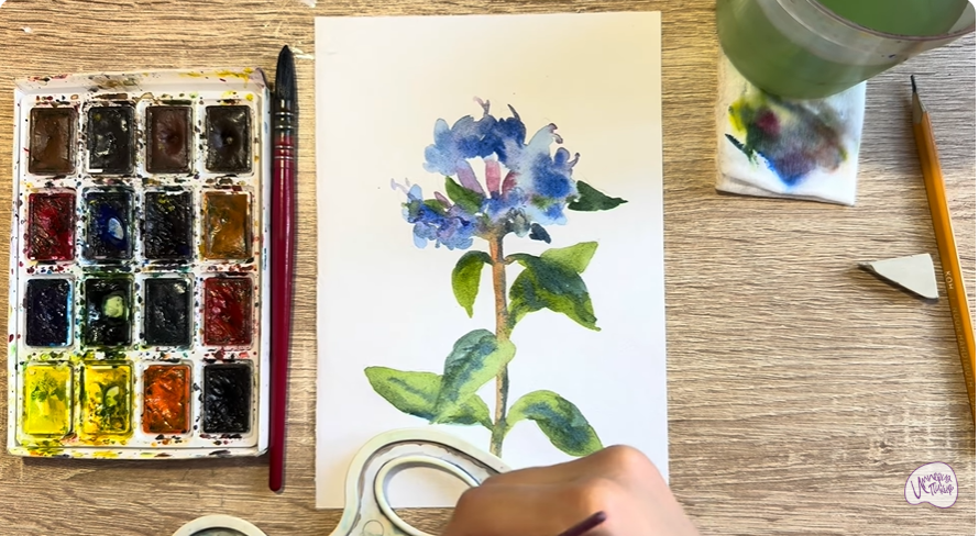 Рисуем Зизифора