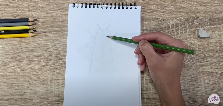 Рисуем Хохлатка