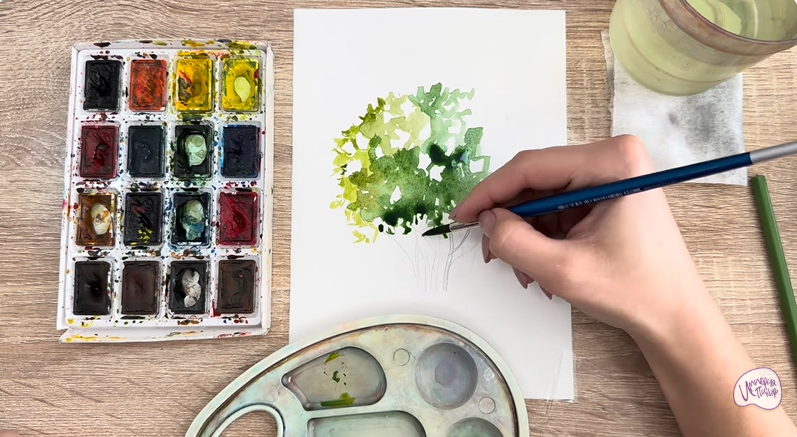 Рисуем Саженец бирючины