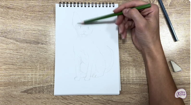 Рисуем Девон Рекс