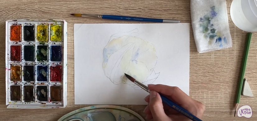 Рисуем Цветная капуста
