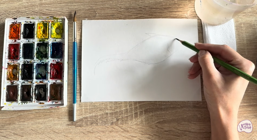 Рисуем Макрурус