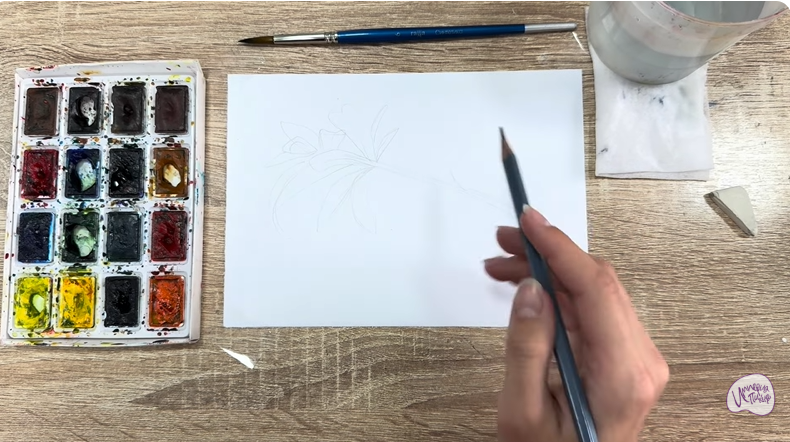 Рисуем Волчья ягода