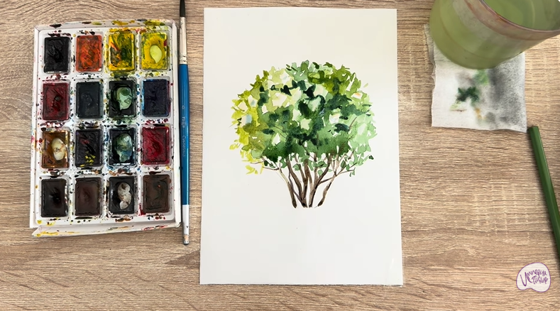 Рисуем Саженец бирючины