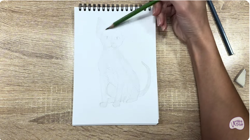 Рисуем Девон Рекс