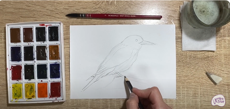 Рисуем Кедровка