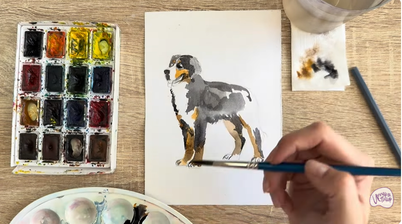 Рисуем Собака породы Бернский зенненхунд