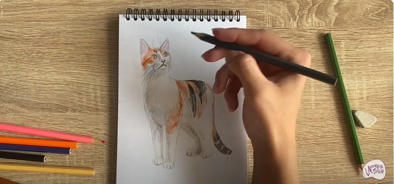 Рисуем Кот породы "японский бобтейл"