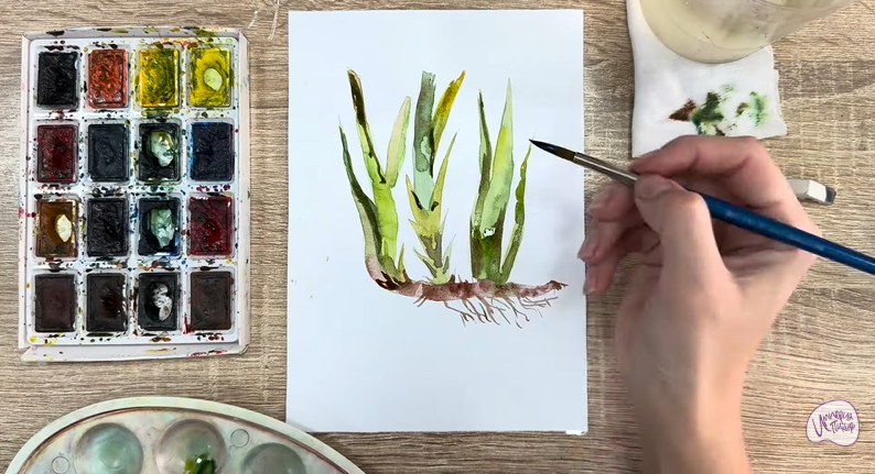 Рисуем Аир болотный