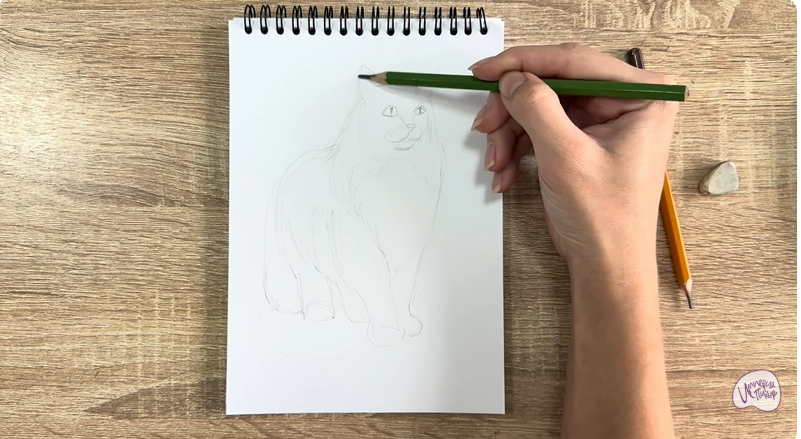 Рисуем Норвежский лесной кот