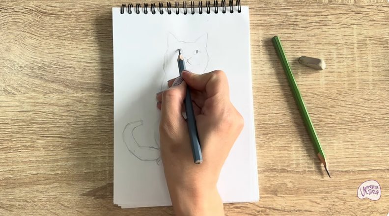 Рисуем Кот породы Шартрез