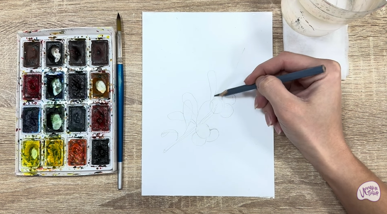 Рисуем Толокнянка