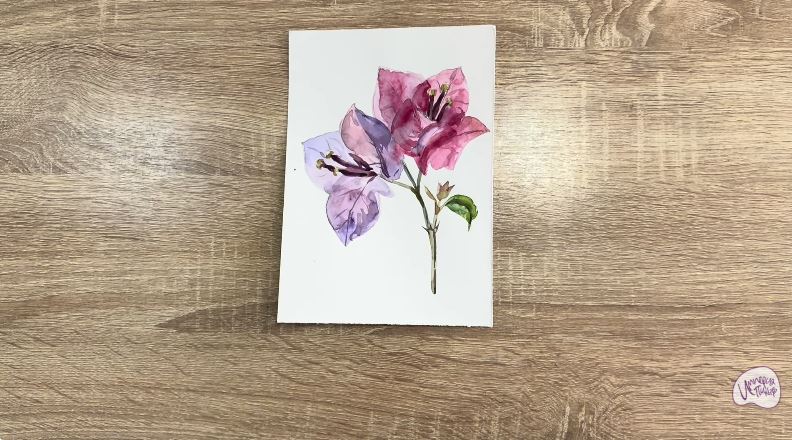 Рисуем Бугенвиллея