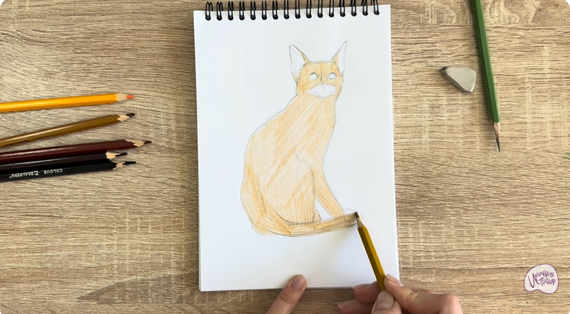 Рисуем Кошка Тойгер