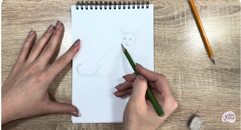 Рисуем Кот породы "Корат"