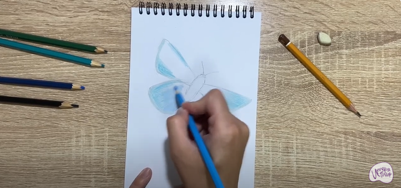 Рисуем Бабочка "Голубянка"