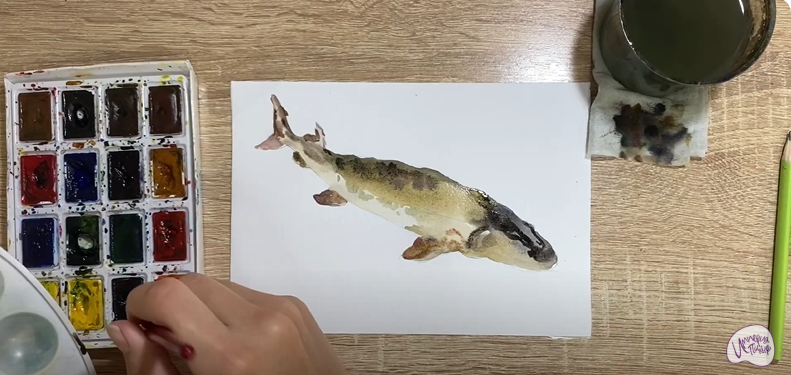 Рисуем Стерлядь