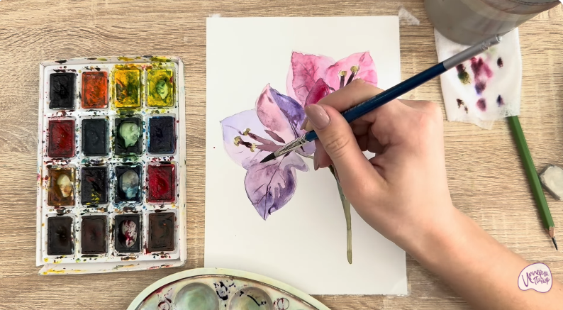 Рисуем Бугенвиллея