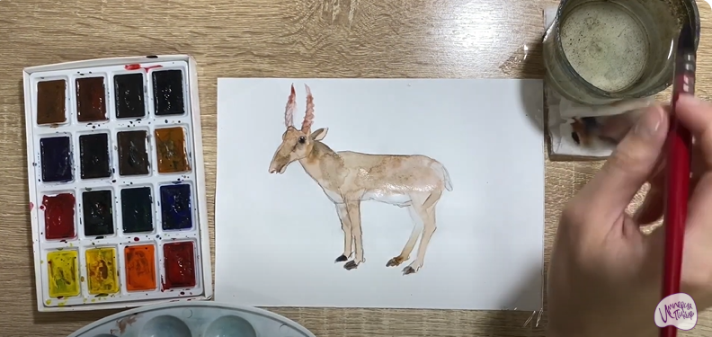 Рисуем Сайгак