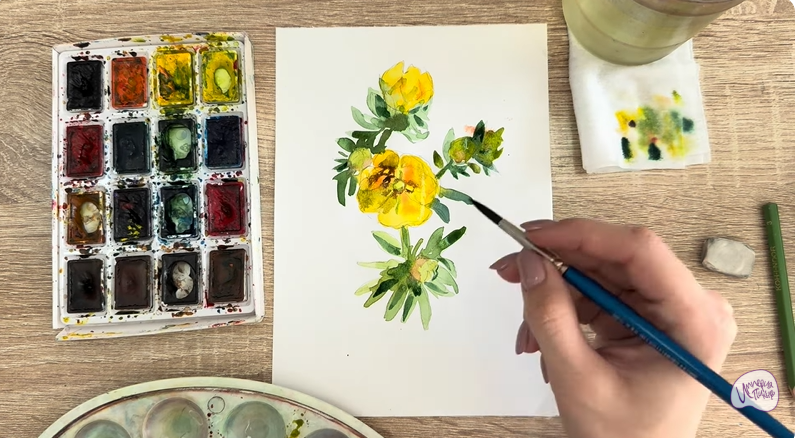 Рисуем Лапчатка