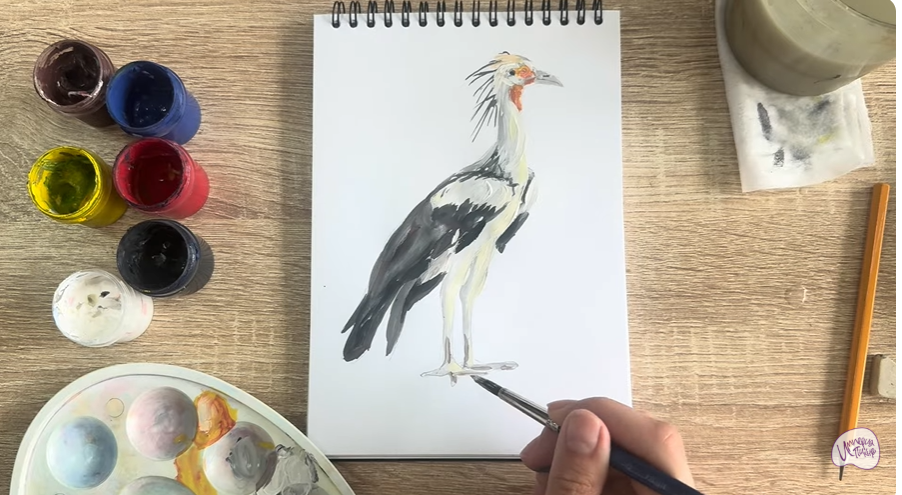 Рисуем Птица "секретарь"