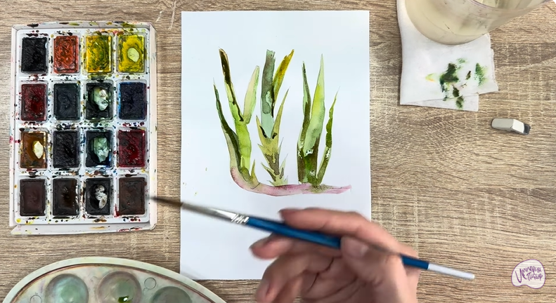 Рисуем Аир болотный